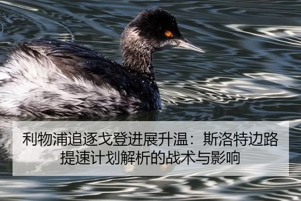 利物浦追逐戈登进展升温：斯洛特边路提速计划解析的战术与影响