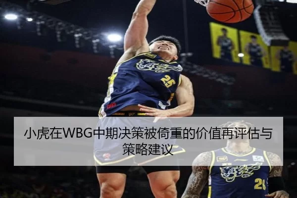 小虎在WBG中期决策被倚重的价值再评估与策略建议